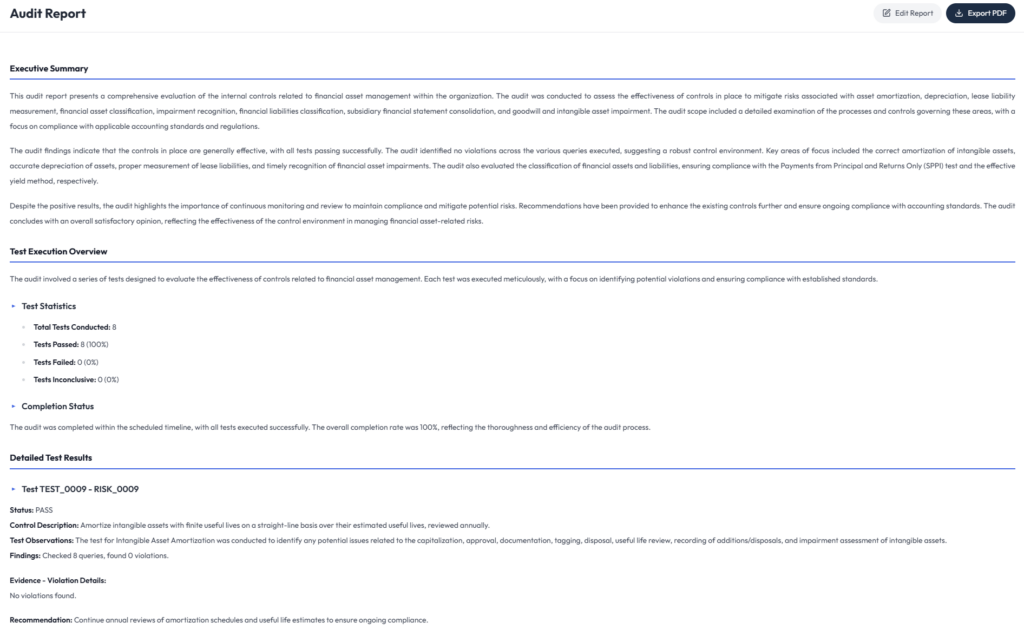 AI Auditor complete audit report with executive summary, test statistics and detailed test results