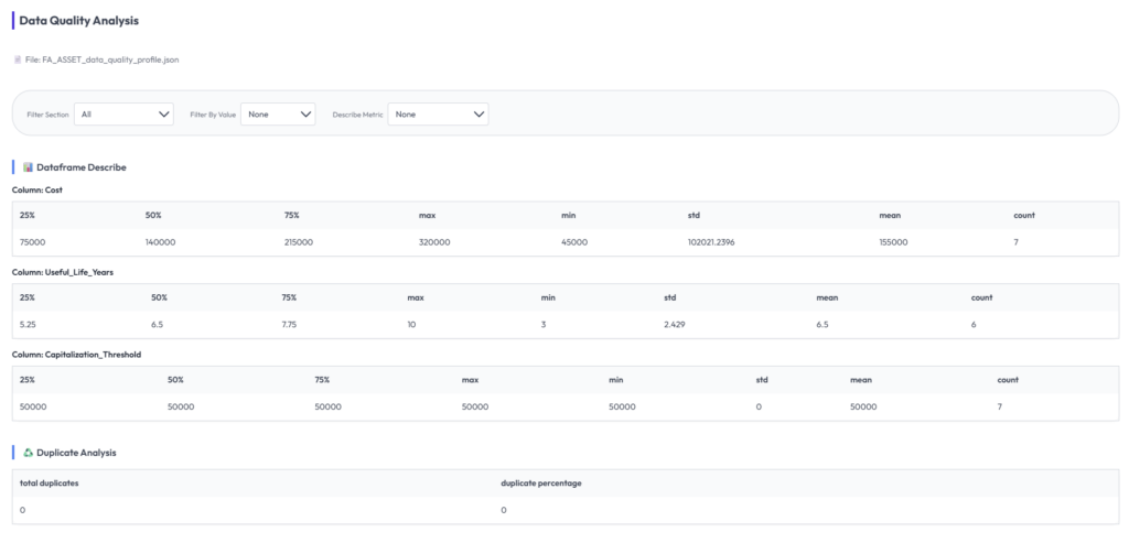 AI Auditor data quality analysis with dataframe describe statistics and duplicate analysis